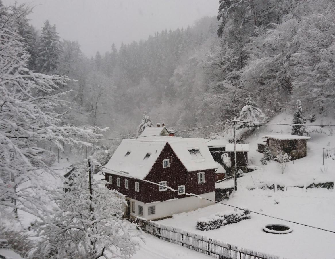 Ferienhaus Bildhauer Thiele Ottendorf  Exteriör bild